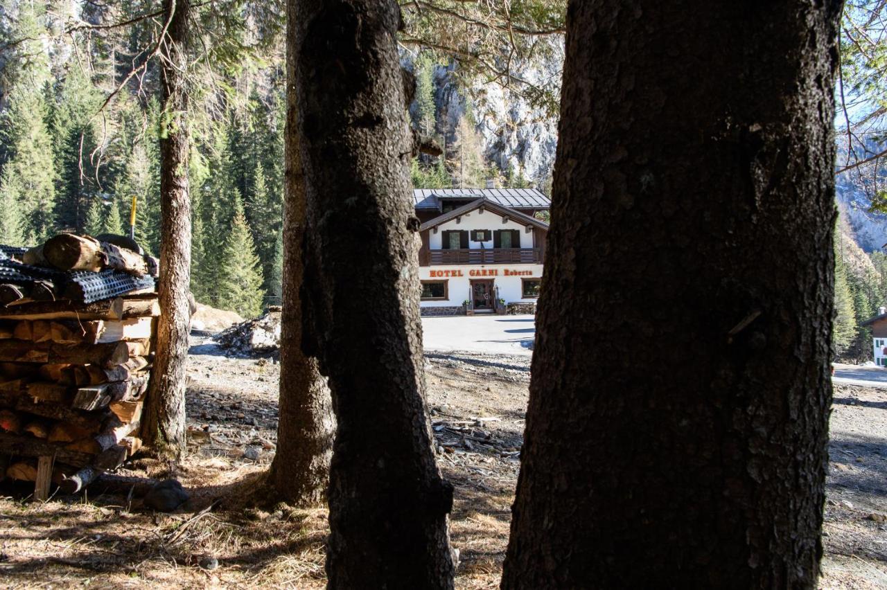 Hotel Garni Roberta Malga Ciapela Bagian luar foto