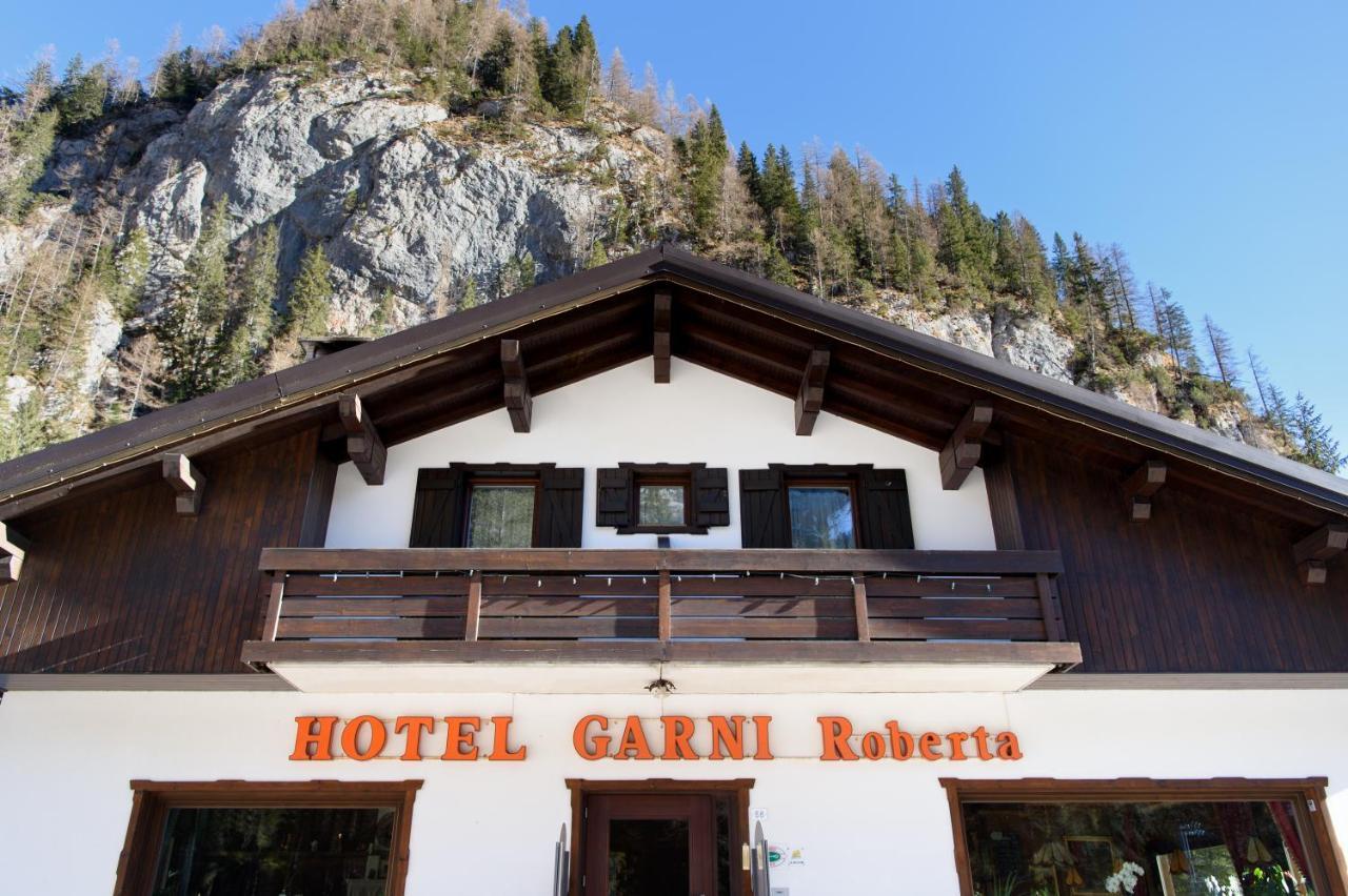 Hotel Garni Roberta Malga Ciapela Bagian luar foto